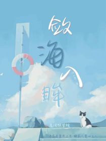 名侦：敛海入眸