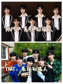 TNT：系统别搞人